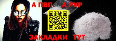 стаф Гатчина