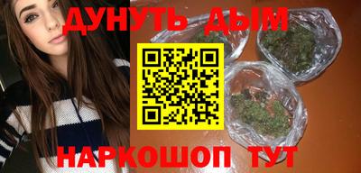 стаф Гатчина