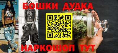 стаф Гатчина