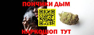 стаф Гатчина