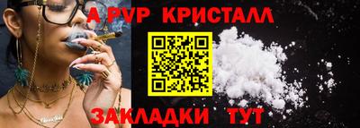 стаф Гатчина