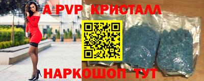 СК Гагарин