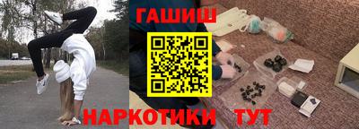 стаф Гатчина