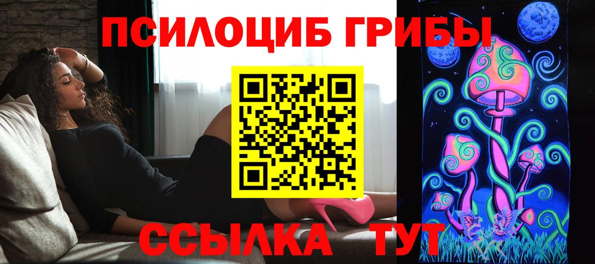 Тихорецк  хочу   Вход с VPN  Галлюциногенные грибы Psilocybine cubensis 