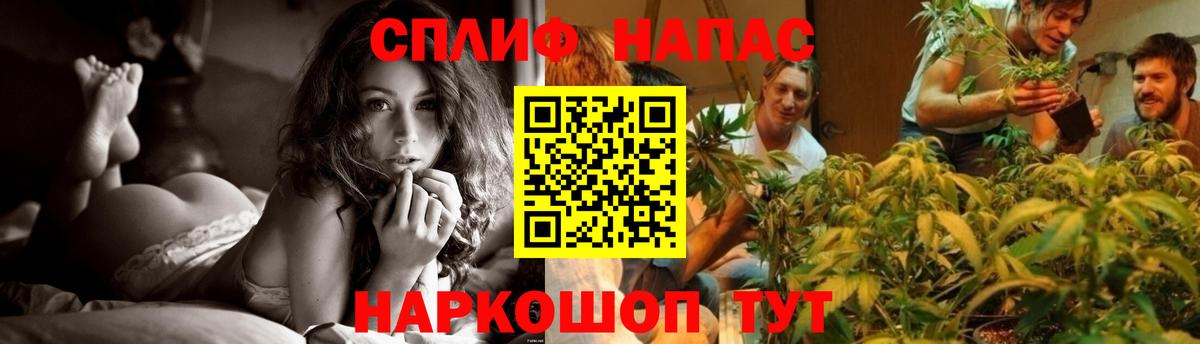 Марихуана тримм  Бошки Шишки Amnesia  Вход с VPN  Марихуана Bruce Banner  Бошки Шишки гибрид  Тихорецк 